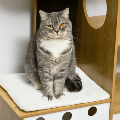 Arbre à Chat - PurrNestTree™ - L'Esprit du Chat Zen