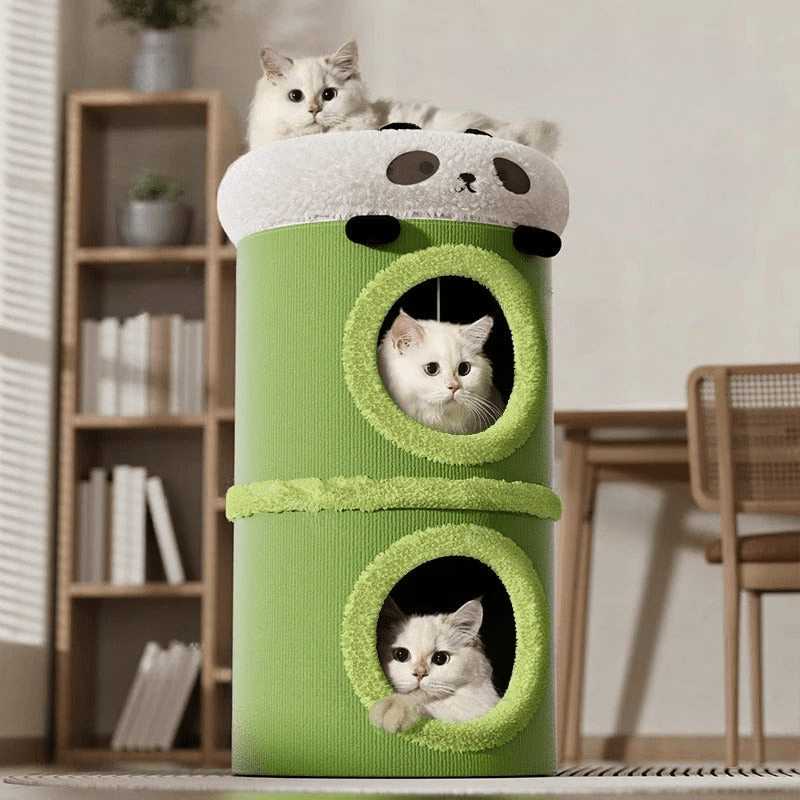 Arbre Chat | Kung Fu Catâą - L'Esprit du Chat Zen