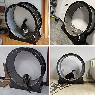 Roue Chat - KittyTread™ - Noir - L'Esprit du Chat Zen