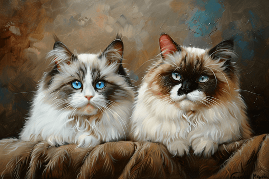 chat ragdoll et cherubin peinture