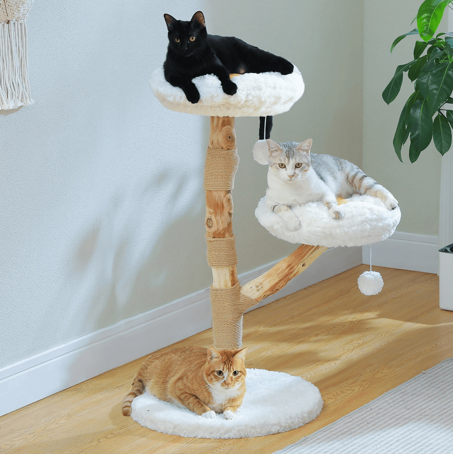 arbre a chat bois fleur trois chats