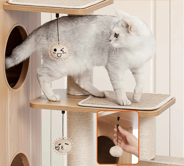 arbre à chat bois chat qui sort niche milieur gros plan balle a jouer