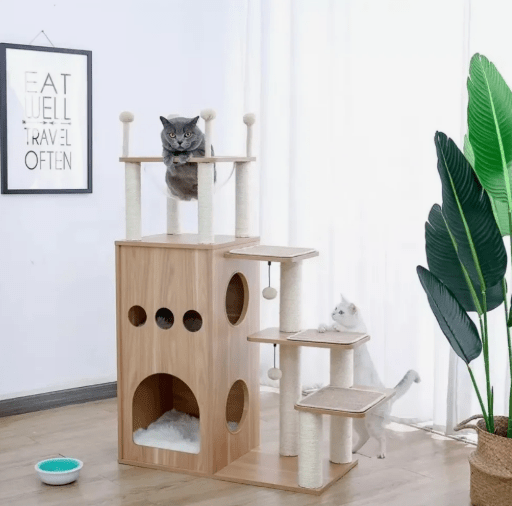 arbre à chat bois sallon deux chats