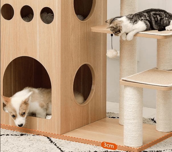Arbre à chat bois chaton et  dans niche du bas