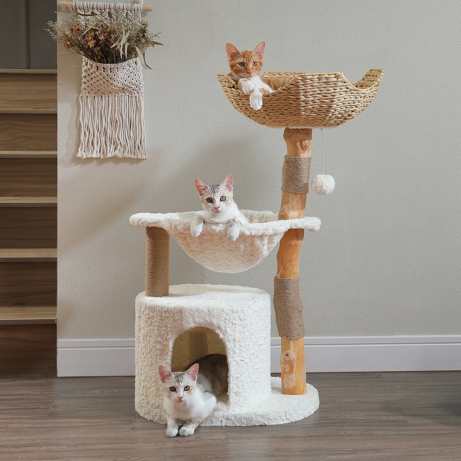 arbre a chat en bois trois chat couhe salon
