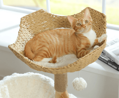 arbre a chat en bois chat tigre roux dans panier osier