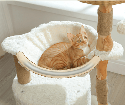 arbre a chat en bois chaton dans hamac doux blanc
