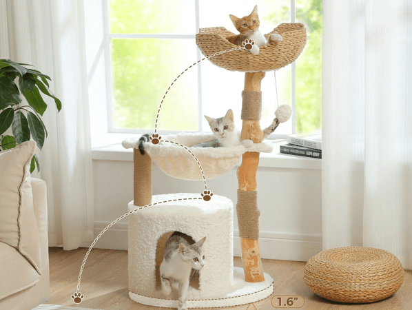 arbre a chat en bois explication comment descendre