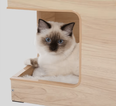 arbre à chat en bois gros plan bas arbre