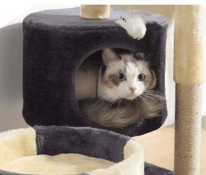 arbre a chat pas cher chat couche niche