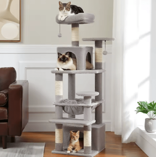 arbres à chat gris trois chats niche et observatoire