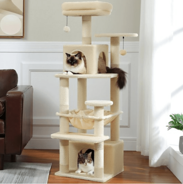 arbres à chat beige salon deux chats dans niches