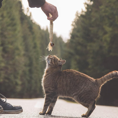 Bâton à mâcher pour chat - PurrStick™ - L'Esprit du Chat Zen