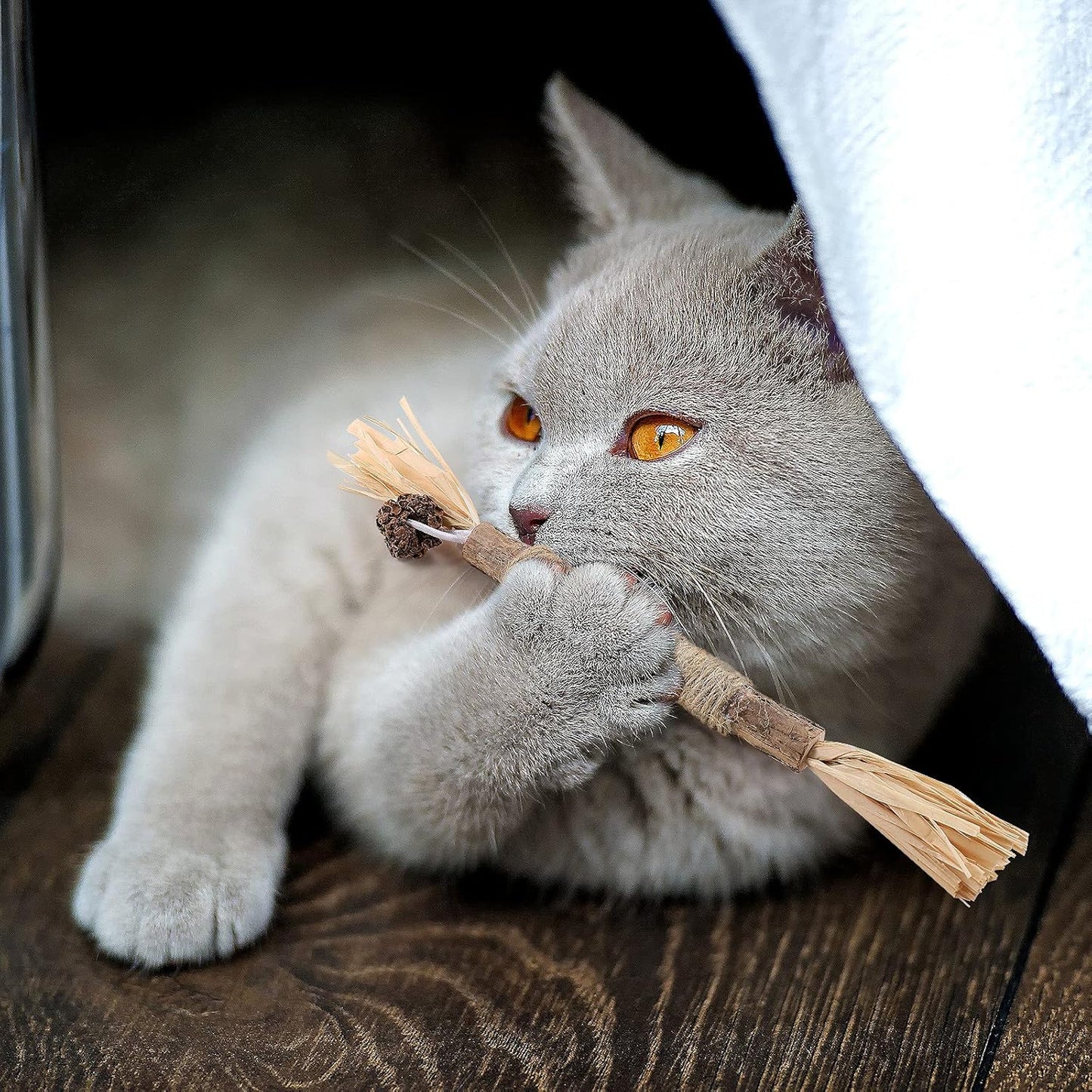 Bâton à mâcher pour chat - PurrStick™ - L'Esprit du Chat Zen