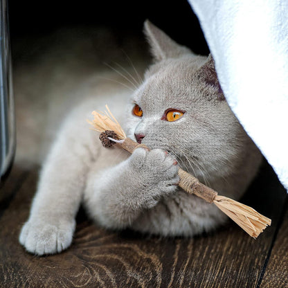 Bâton à mâcher pour chat - PurrStick™ - L'Esprit du Chat Zen