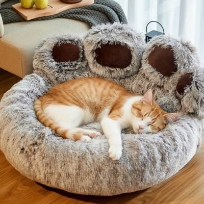 Coussin pour chat patte chat roux dort