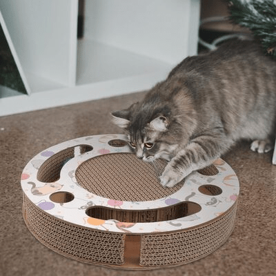 Grattoir Chat - PurrRoundScratcher™ - Chats & Balles - L'Esprit du Chat Zen