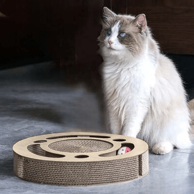 Grattoir Chat - PurrRoundScratcher™ - Minimaliste - L'Esprit du Chat Zen