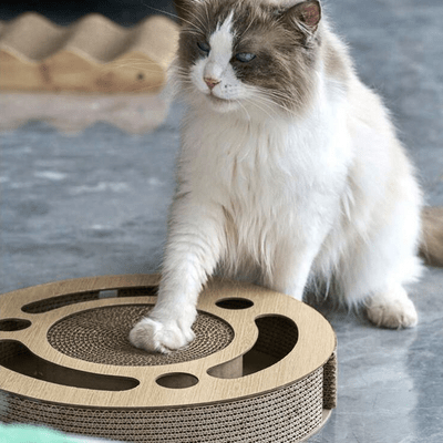 Grattoir Chat - PurrRoundScratcher™ - Minimaliste - L'Esprit du Chat Zen