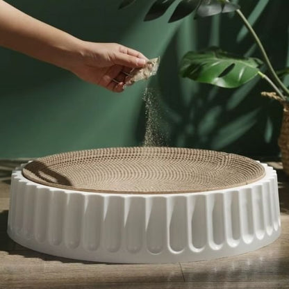 griffoir chat blanc main qui soupoudre de l'herbe à chat