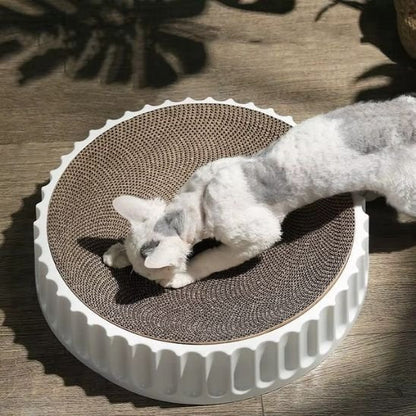 griffoir chat blanc devon rex fais ses griffes