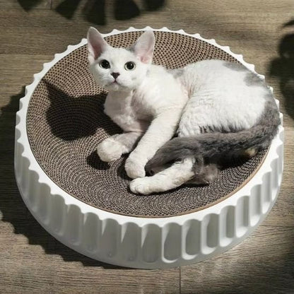 griffoir chat rond blanc devon rex couché dessus