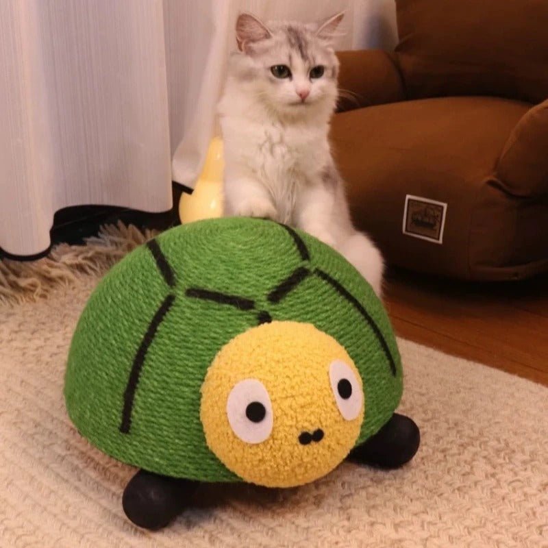 griffoir chat tortue chat