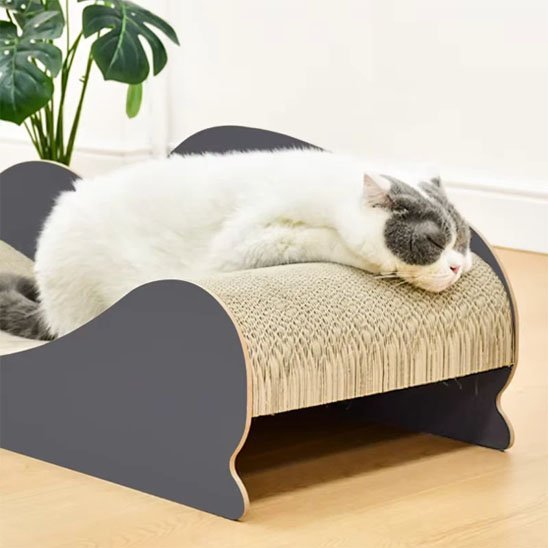 Griffoir Chat vague chat dort dessus