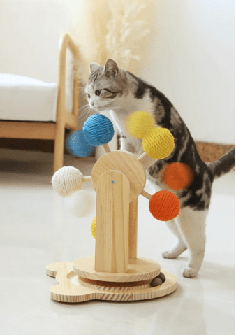 griffoir pour chat modele moyen chat curieux