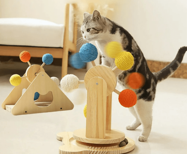 griffoir pour chat modele petit moyen chat curieux