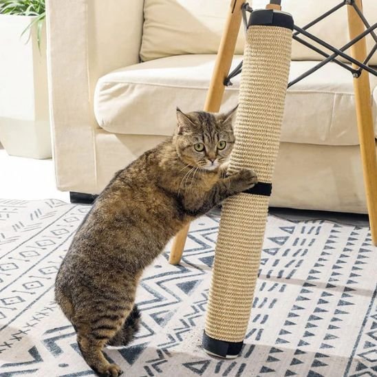 Griffoir pour chat pied table en oblique chat fait griffe