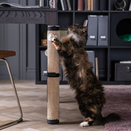 Griffoir pour chat sur pied de table main coon fait griffe