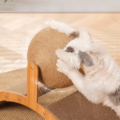 Griffoir pour Chat - Scratch&PlayCatBoard™ - Arc - L'Esprit du Chat Zen