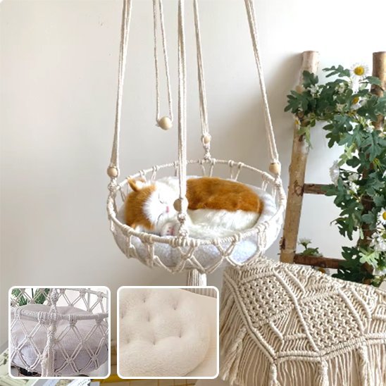 Hamac pour chat endormi salon fleuri détails coussin