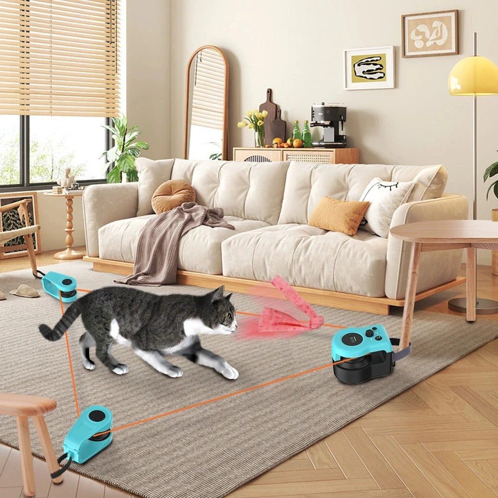 jeux pour chat trois cones chat court salon
