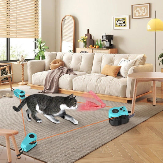 jeux pour chat trois cones chat court salon
