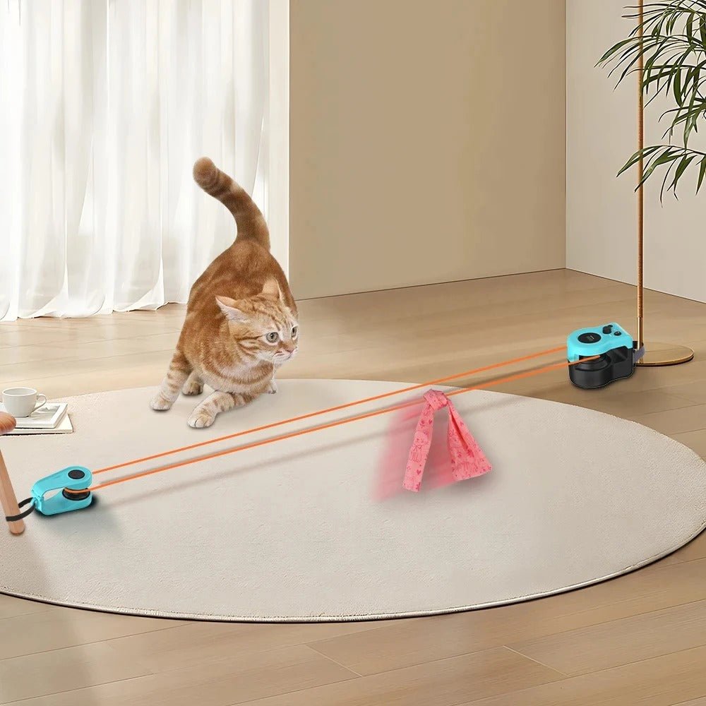 jeux pour chat deux cones chat roux court