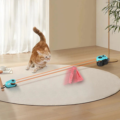 jeux pour chat deux cones chat roux court