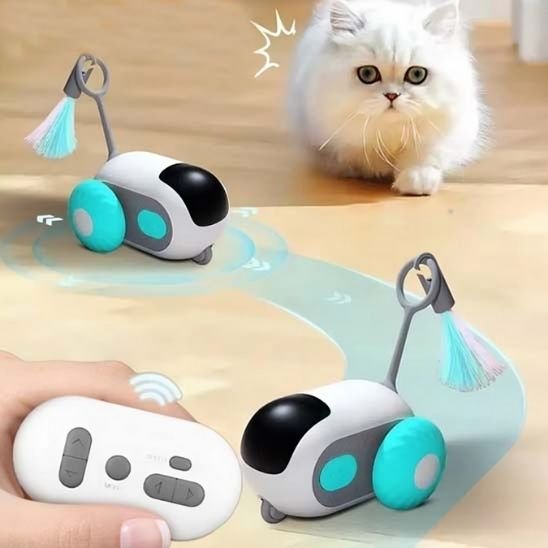 jouet chat voiturette turquoise chat blanc qui court apres