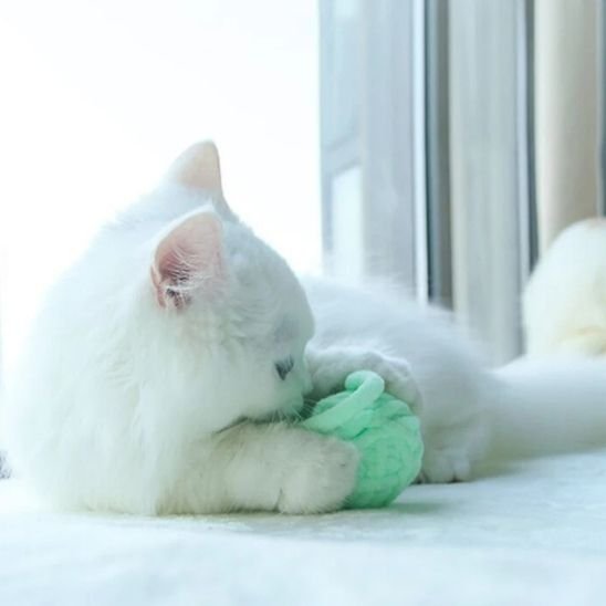 Jouet chat | Chat’Lala Pelote™ - L'Esprit du Chat Zen