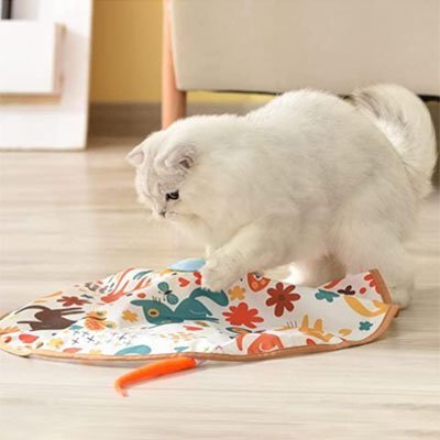 Jouet chat interactif chat joue avec le jouet bleu avec tapis integre