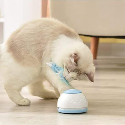Jouet chat interactif chat joue avec jouet bleu