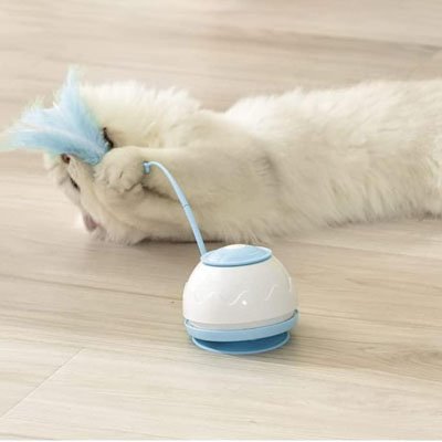 Jouet chat interactif chat joue avec jouet bleu