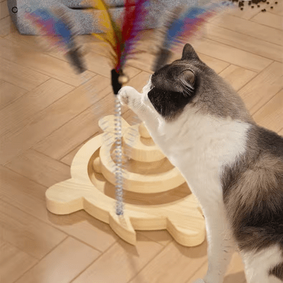 Jouet en Bois - SpinningCatToy™ - Grenouille - L'Esprit du Chat Zen