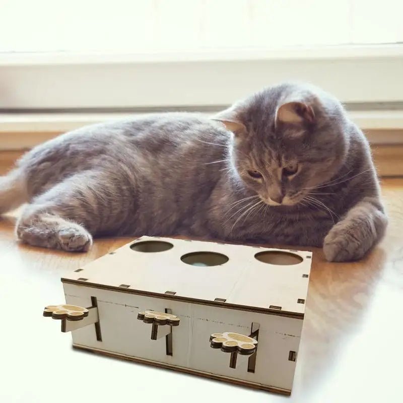 Jouet Interactif Chat - CatWhack™ - L'Esprit du Chat Zen