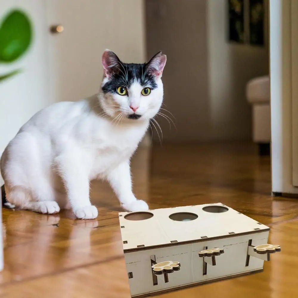 Jouet Interactif Chat - CatWhack™ - L'Esprit du Chat Zen