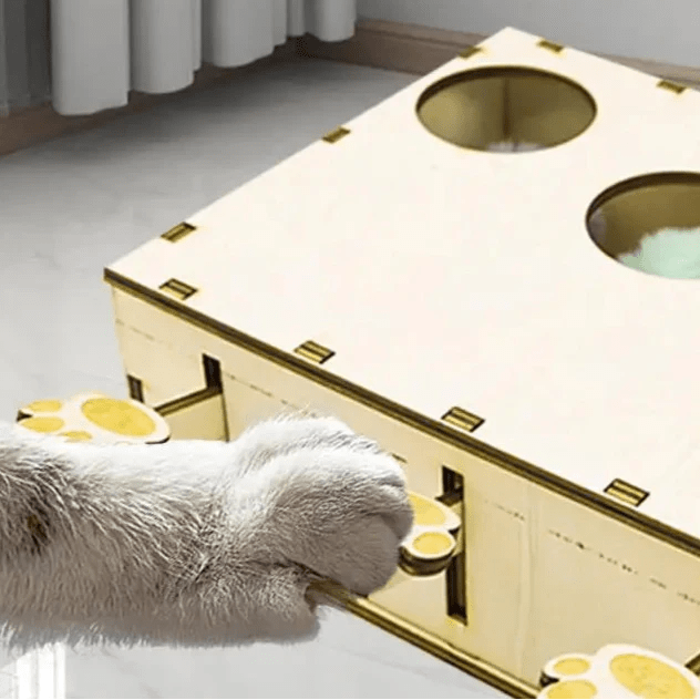 Jouet Interactif Chat - CatWhack™ - L'Esprit du Chat Zen