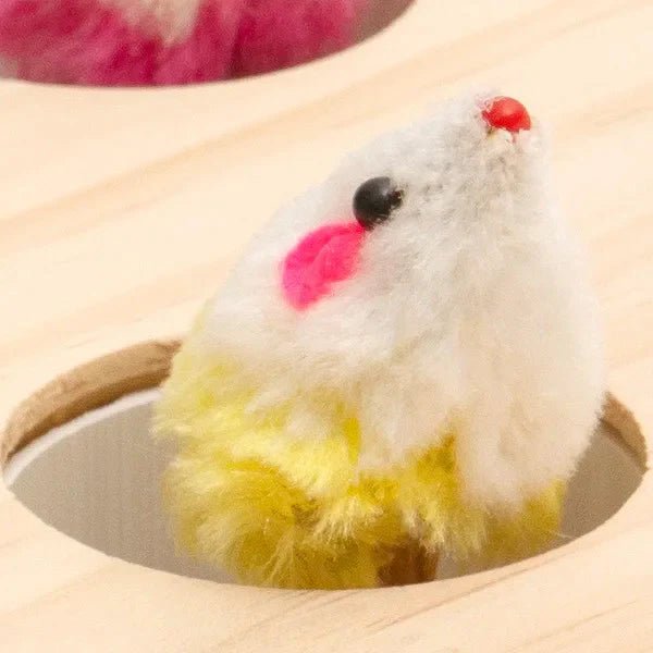 Jouet Interactif Chat - WoodMole™ - L'Esprit du Chat Zen