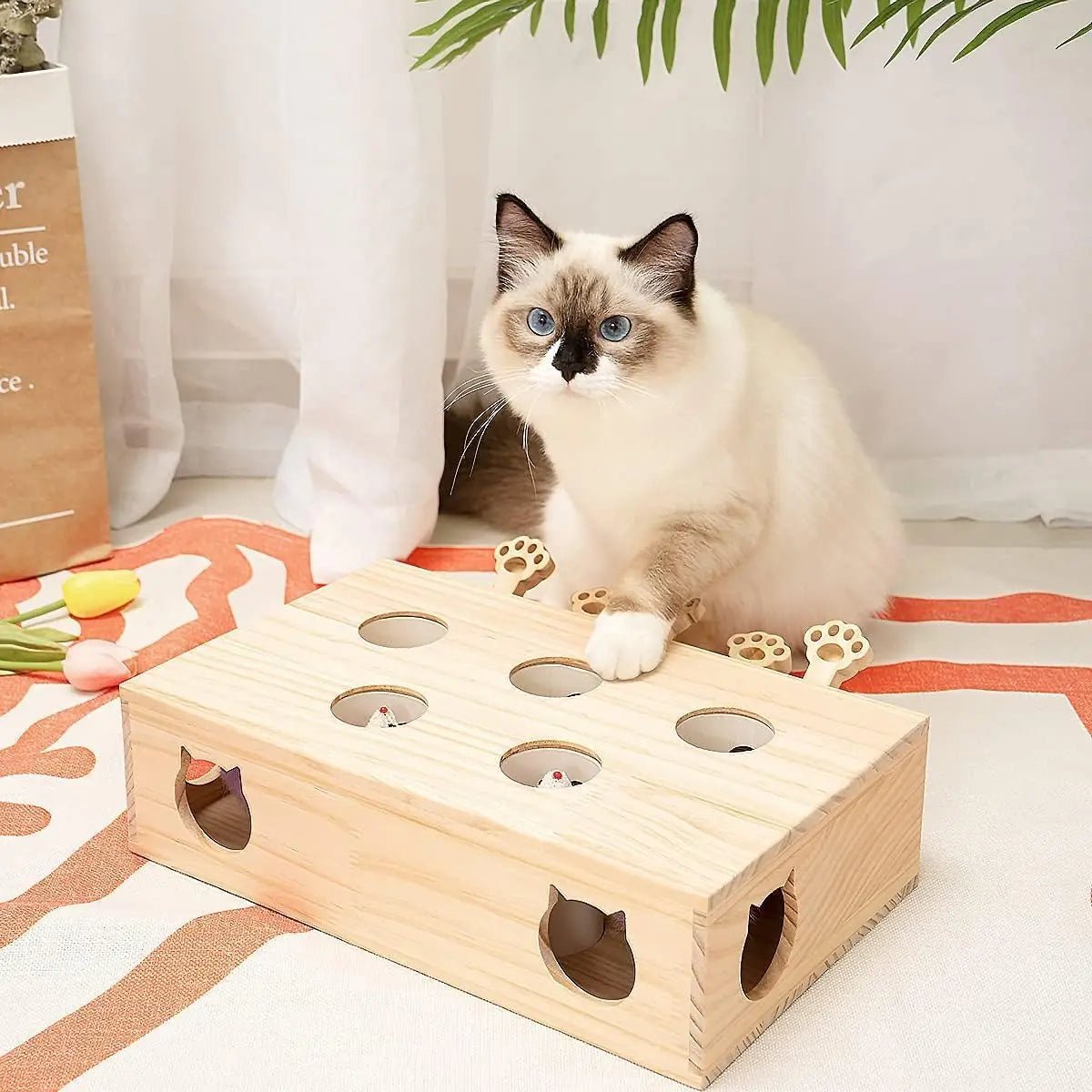Jouet Interactif Chat - WoodMole™ - L'Esprit du Chat Zen