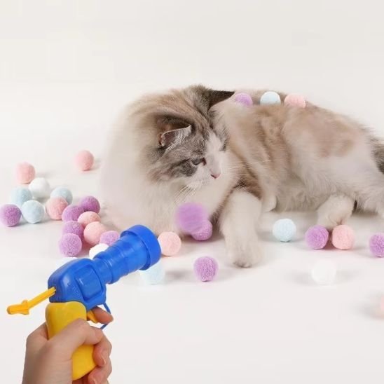 Jouet pour chat  pistolet catapulte balle en ponpon mauve chat regarde
